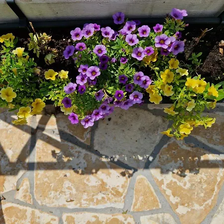 Bel Posto Apartment *