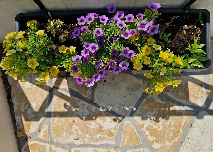 Bel Posto 아파트 *